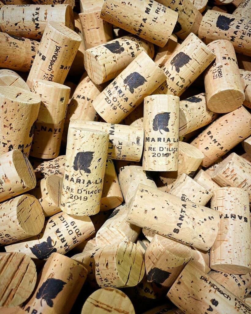 LaNaveEtnaWines's tweet photo. Just bottled my new born: Il Re D’Ilice 2019. A white #prephylloxera field blend with all the ancient grape varieties which have been selected over the centuries in Monte Ilice. Just a bit more then 1000 bottles which will continue to age in the bottles for few months.
This … https://t.co/iVeZ5XF6g3