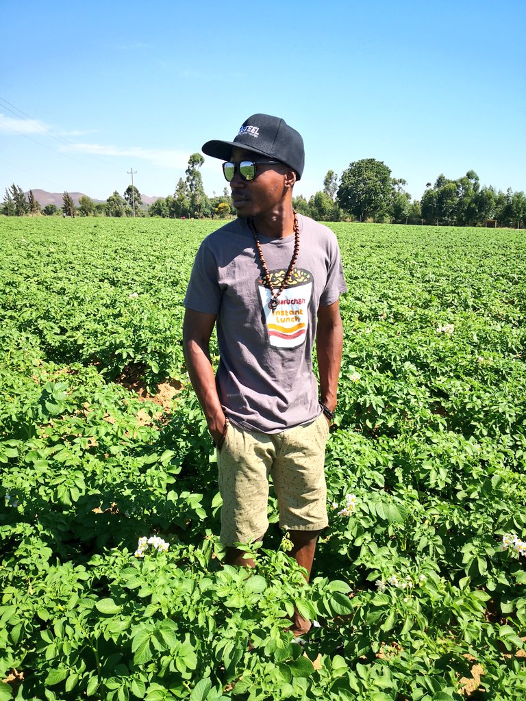 mrLethario's tweet photo. Good seed is half way to a bountiful and profitable harvest! 
Purchase quality certified potato seed for a great winter crop.
Call 086 8800 2604
Mobile 0712 886 946
WhatsApp 0712 980 980
Email sales@kutsaga.co.zw

DON'T MISS OUT ON QUALITY https://t.co/7g7Kk17sho