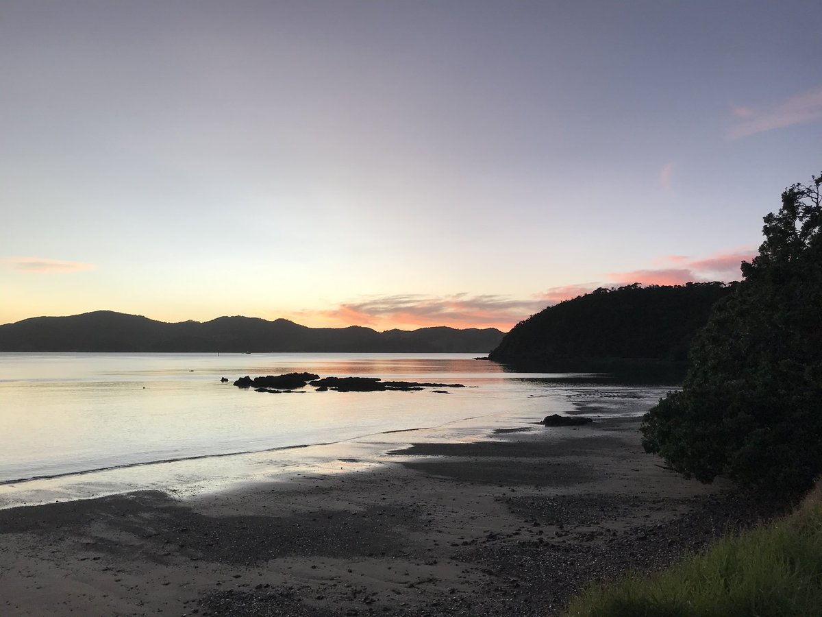 KilmoreKarina's tweet photo. A good morning photo from my cousin. My whanau land - no neighbours, no road access, pure waterfront for miles and miles and miles! Fishing, digging for pippies, cooking and camp fires on the beach. #Whangaruru #aotearoa #MissingMyHomeland #NewZealand https://t.co/ZAkv8Jfzxv