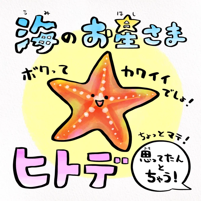 ヒトデ、思ってたんとちゃう 