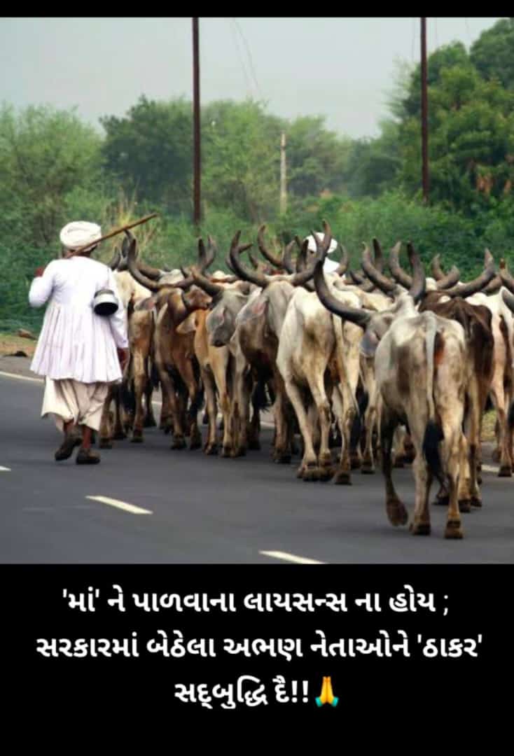 VelaRayka's tweet photo. #save_maldhari https://t.co/ggMK7TWgSC