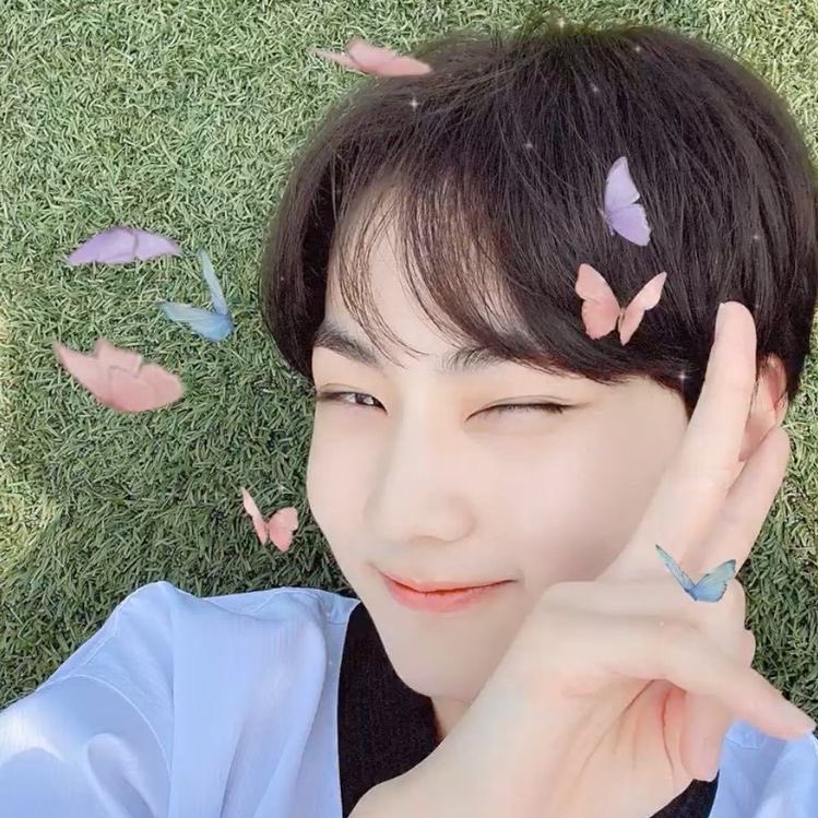 smallwonnie's tweet photo. 🦋 https://t.co/DvOpUWeY0X