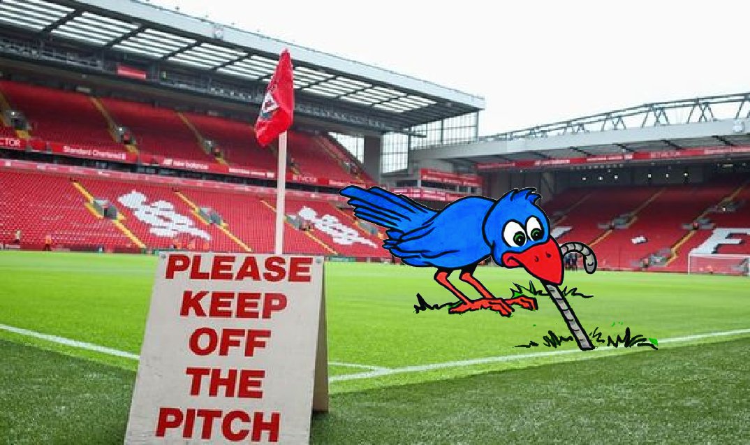 SFoodbanks's tweet photo. The early bird gets the early worm !!!

Our volunteers will be at #FlagpoleCorner from 9.30.
Please call in, say hello &amp; donate dryfood stuffs along with hygiene &amp; sanitary products are all much needed.

Com'on you Reds....

#HungerIsApoliticalChoice
#RightToFood https://t.co/ty3AecQQ1m