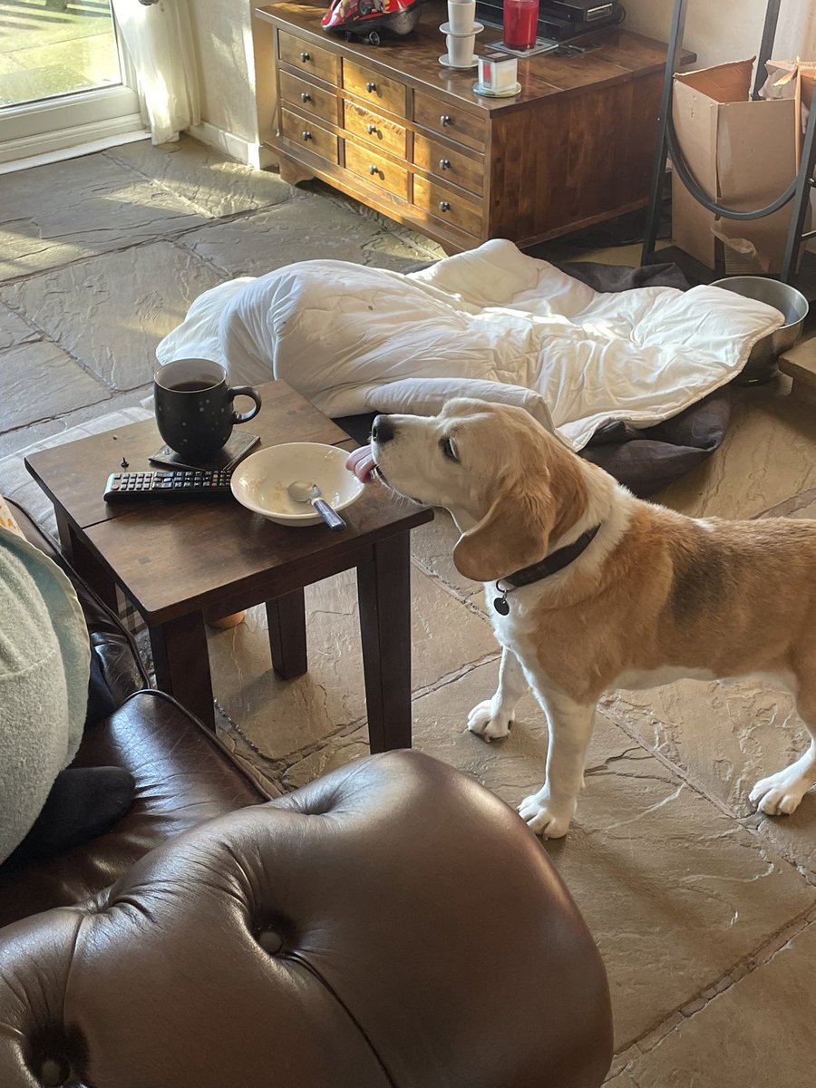 I memory of mees bruffer, mees makin sure iz not miss any noms. #hewouldbeproud