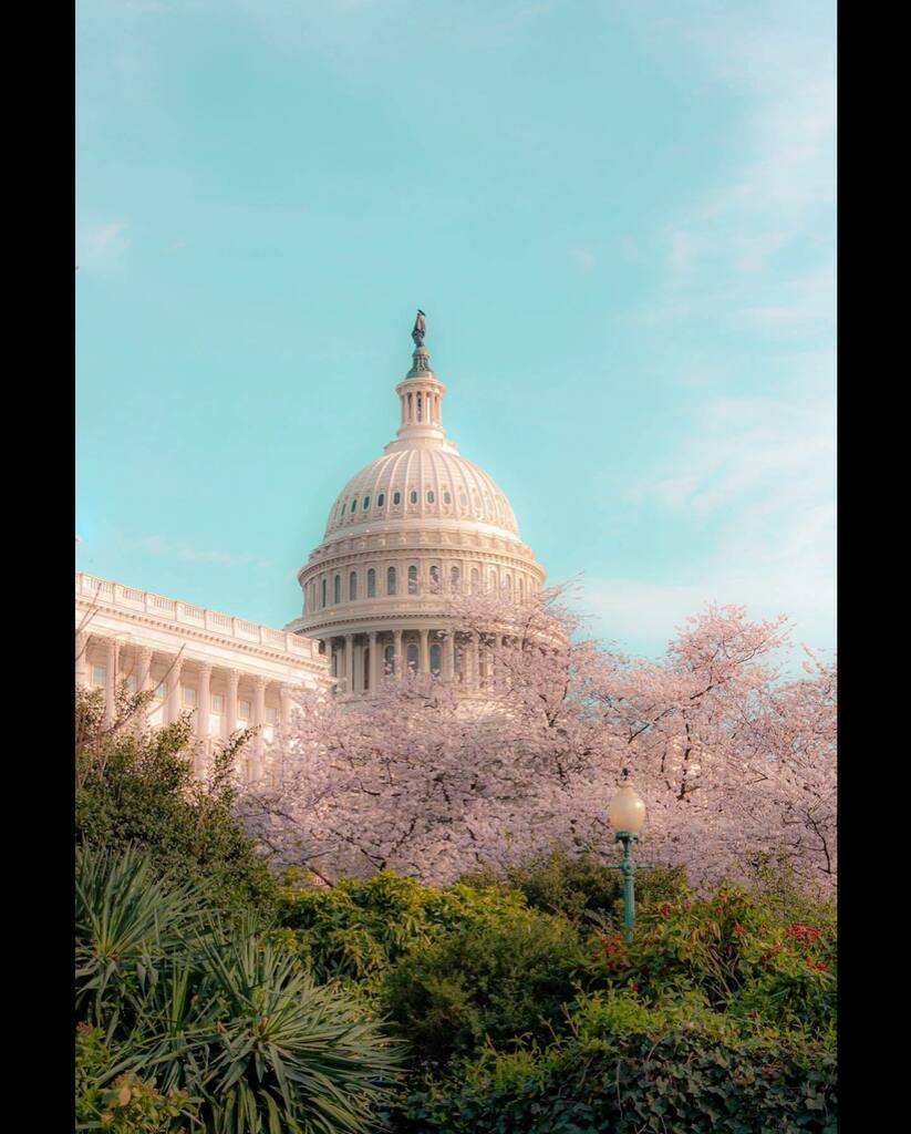 _jates's tweet photo. 03.22.22 | Judge KBJ Hearing in Senate Chamber | Washington DC
のこる
·
·
·
·
·
#dcphotography #teenphotographer #uscapitolbuilding #uscapitol #architecturephotography #congress #scotus #judgeketanjibrownjackson #illgrammers #dctography #exposeddc #str… https://t.co/O7iLUn4JZz https://t.co/Cd4oJIc2lh