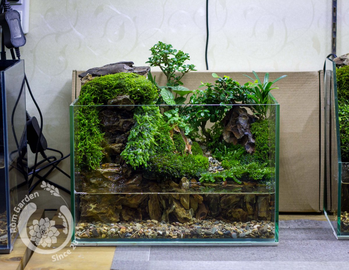 garden_rom's tweet photo. Bán cạn thác nước
( Máy lọc sau thác nước)
Đất dinh dưỡng Gex nhật
Giá mẫu : 1950k
Gửi kèm bình tưới , hướng dẫn ống thay nước
274/7b Nguyễn văn đậu f11 bình thạnh HCM https://t.co/wTAtQcUJJ3
