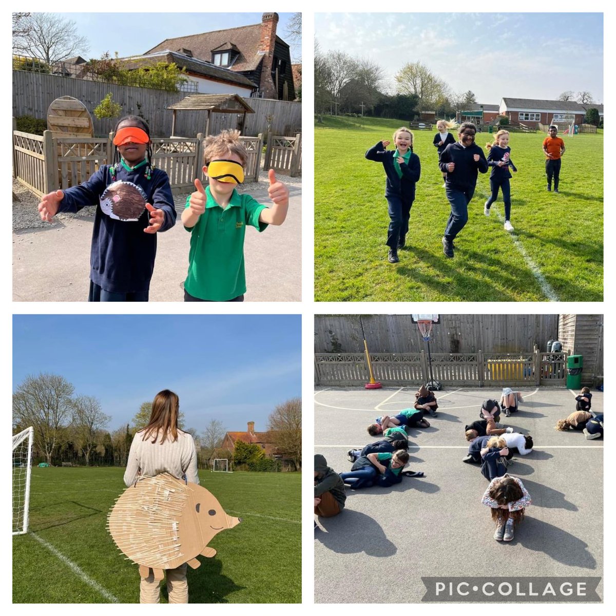 StAmandsPrimary's tweet photo. Hedgehogs, Squirrels and Red Kites classes have all been taking part in different sponsored events this week to raise money for @CardinalHumeCHC From sleeping over at school, to outdoor team building day to travelling 2.5 miles like Hedgehogs! Its been a busy but rewarding week. https://t.co/y9RFWQoC7K