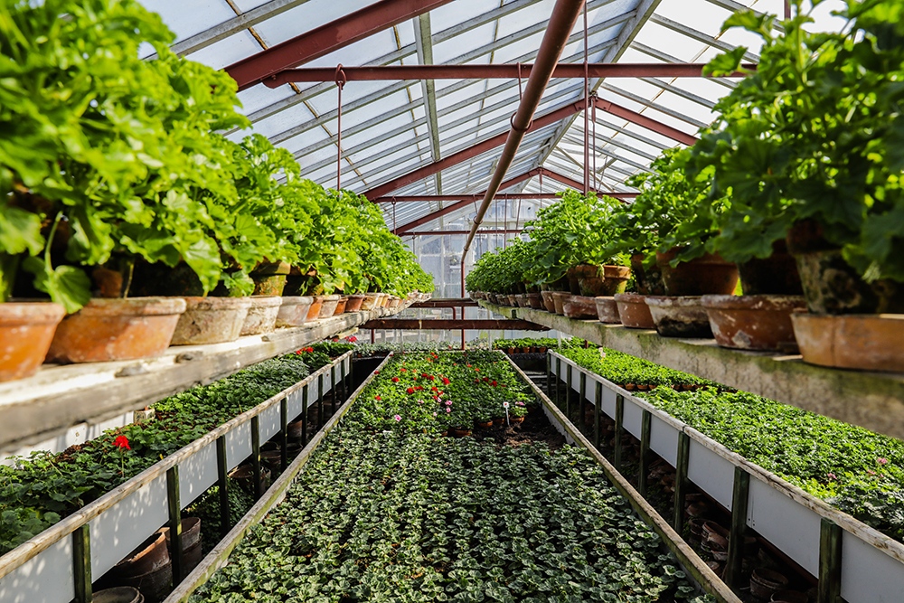 De Historische Tuin is weer geopend! Wist je dat deze tuin 13.000 m2 groot is?  Van dinsdag tot zondag kom je hier alles te weten over bloemen, planten en fruit telen 🌸 🌸 ⁠
⁠
📷 <a href="/kicksfotos/">kicksfotos.nl</a>.nl⁠

Plan je bezoek: visitaalsmeer.nl