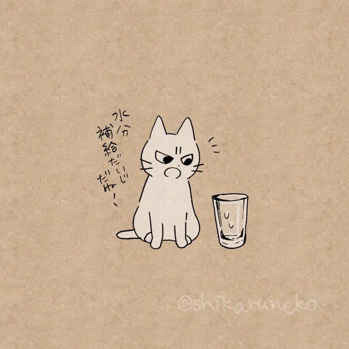 使ったコップを置きっぱなしにする人を叱ってくれる猫 