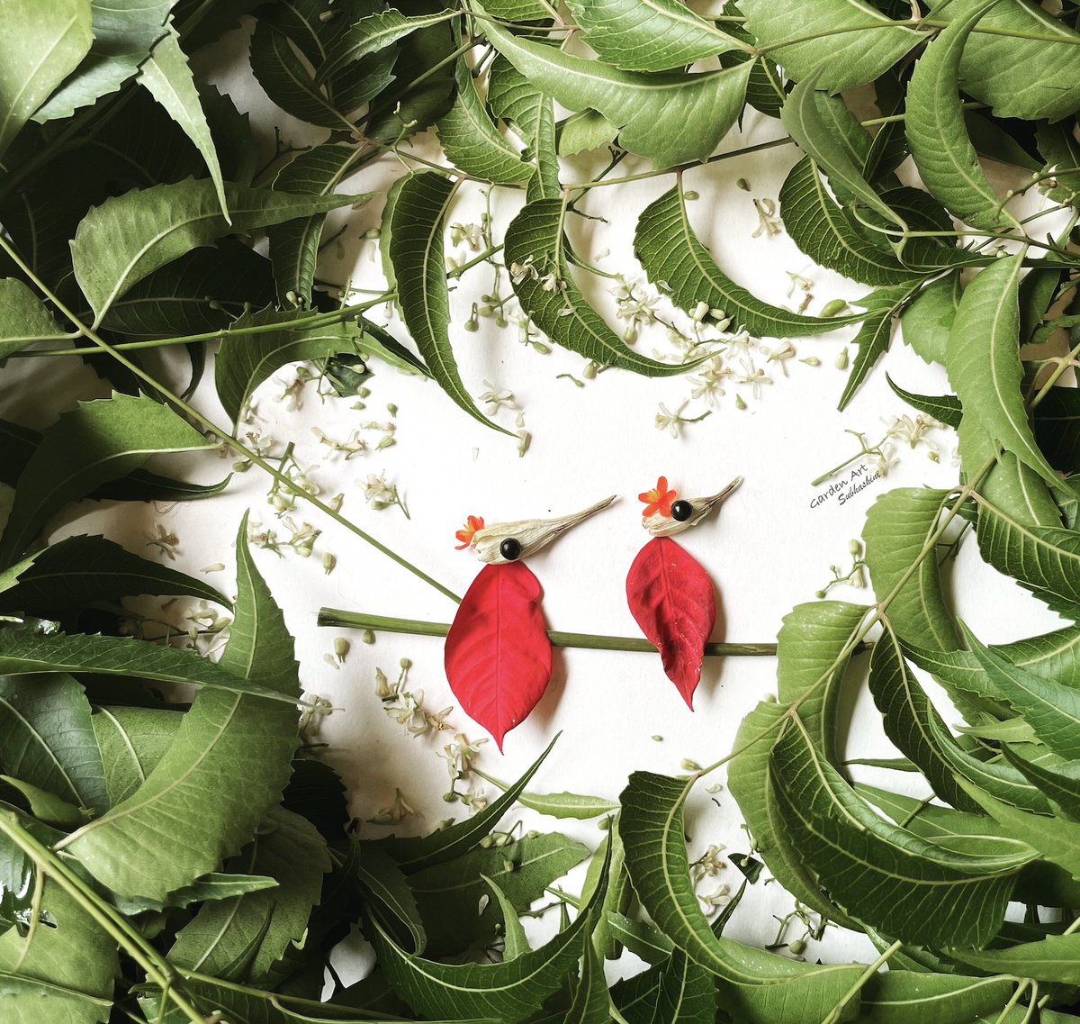 Happy Ugadi to those who are celebrating #gardenart #Ugadi
