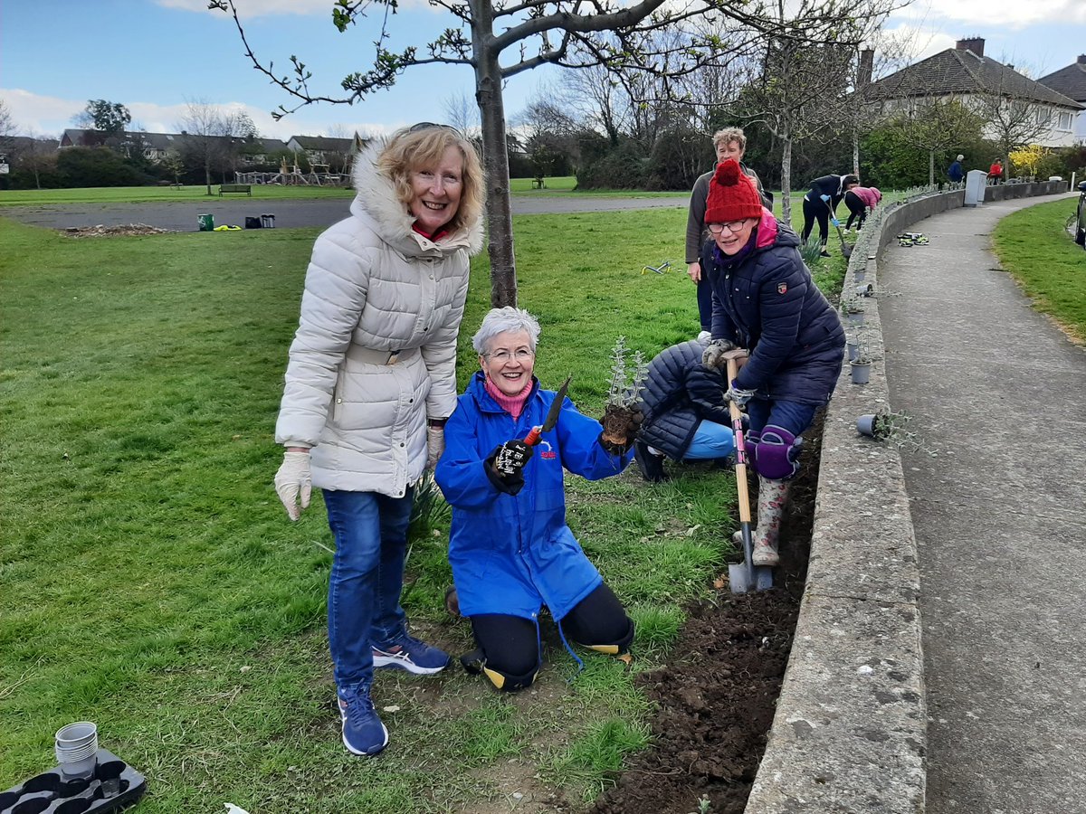 TaneyResi's tweet photo. We had a great turnout for our Pollinator planting today. Really looking forward to seeing the fruits of our labour over the next few weeks and months. Thanks to Jamie for organising and to @dlrcc for the grant. #Taney #Goatstown #Dundrum https://t.co/lV70H3gGXd