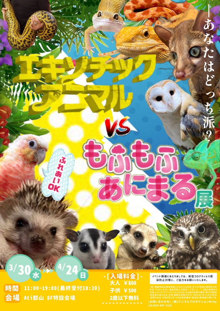 Ricky_fukushima's tweet photo. 現在福島店の動物さんたちはこちらにおりますよ！

郡山駅横ATi郡山さん8F

ご来場頂く事で移転費用にも繋がっております。

連日沢山のお客様にご来場頂き本当に感謝です。

再オープンは4月27日の予定です。

どうぞご協力宜しくお願い申し上げます。

https://t.co/GCqxWS2nG4 https://t.co/k5YtxBGxfc