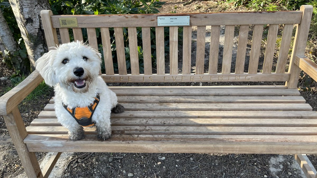 Happy to have had a moment with my boy this morning on the #AfterLife bench. #hopeiseverything. Thanks @rickygervais 🙏👌