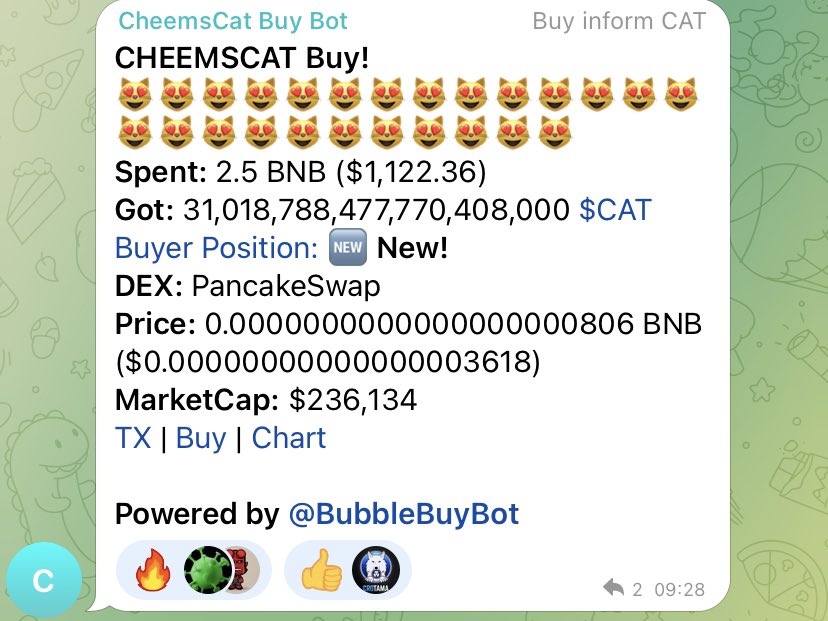 FlootRocky's tweet photo. @CryptoGem500x The kind of buys the community likes ♥️

@Heatherfernsby 
#cheemscat #cheems #BSC #BSCGem #binance #hodl #cheems #cryptocurrency #Crypto #BSCNews #meme #memecoins #memecoin https://t.co/NwntuPu8HY