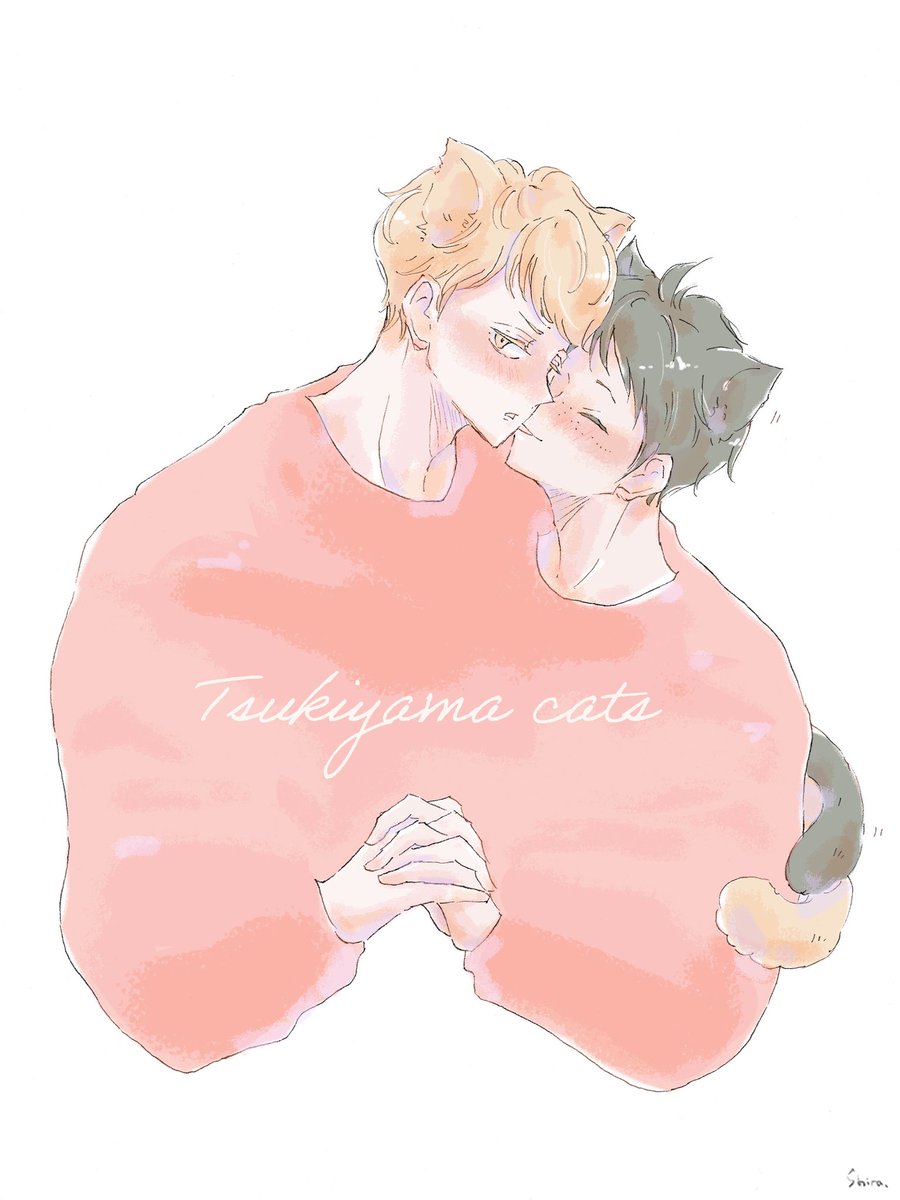 「tsukkiyama cats🐈 」|Shira.🌿のイラスト