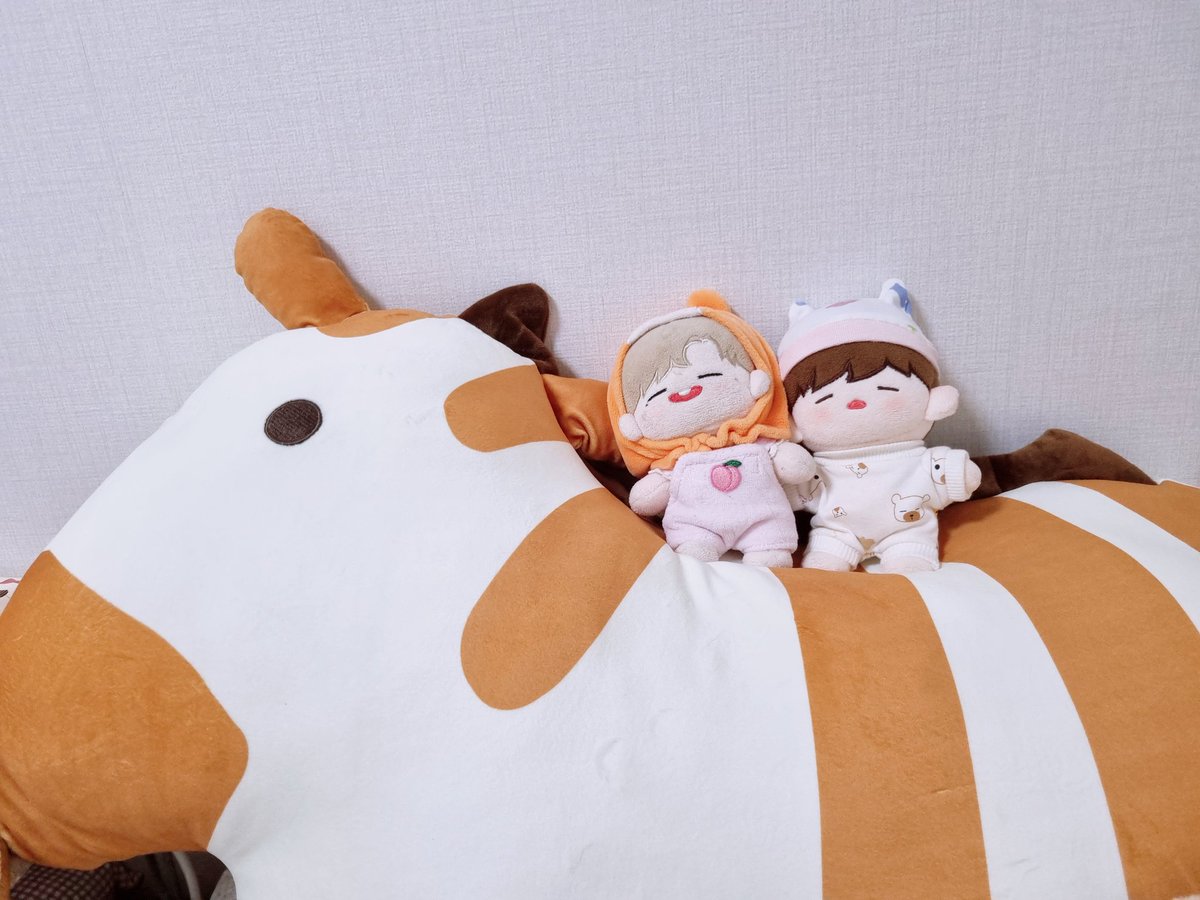 기린 칭구품이 따뜻하고 푹신한 애띠 뭉이😍

#뽀름이네하우스 #애쉬녜리 #짼뭉이