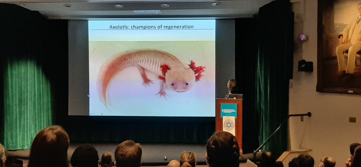 clawedfeet's tweet photo. Karen Echeverri starting day 2 of #NESDB
@MBLScience
@SocDevBio https://t.co/wMFPioN1pt