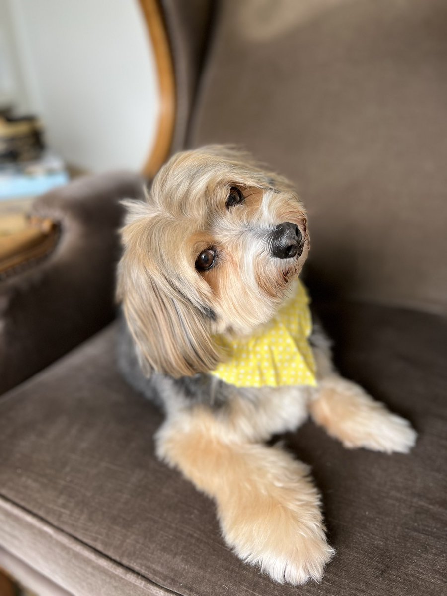 KindofBlueMusic's tweet photo. Rudy says “What?!” https://t.co/25W8KIkvXL