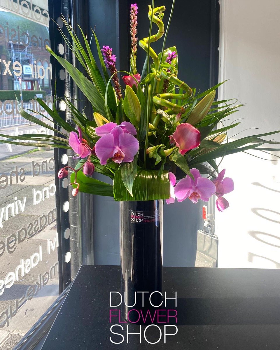 We supply Restaurants, Salons, Office spaces and more.  Get in touch for us to add some colour to your work space.