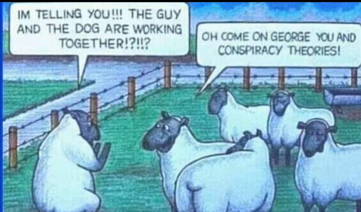 Gingitis's tweet image. 