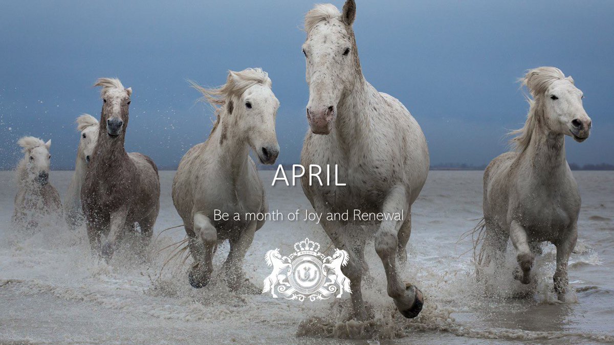 vincolores's tweet photo. Springtime #joy #weekend #inspiration #outdoor #springvibes https://t.co/0EOFbG5ukl