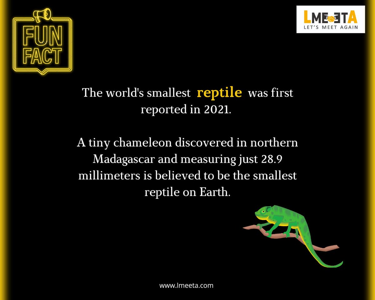 LMEETA_official's tweet photo. Funfact for today!
#funfact #SaturdayVibes https://t.co/n9lMABmBfB