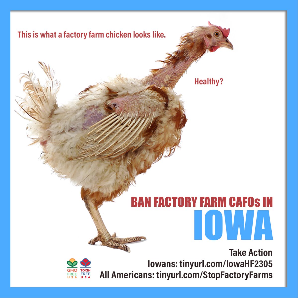 GMOFreeUSA tweet picture
