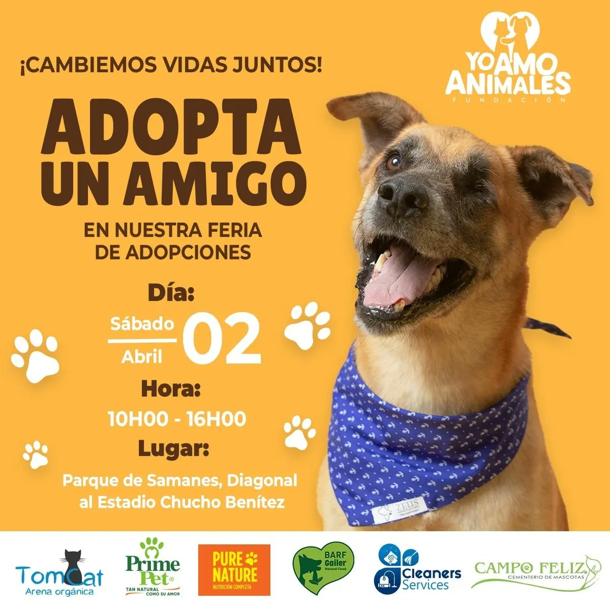 Estas buscando poder adoptar a tu mejor amigo?
El día sábado tienes la oportunidad de poder conocer a nuestros perritos y gatitos en adopción.
Debes de llevar lo siguiente :
✔️ Copia de cédula
✔️ Planilla de servicios básicos del domicilio actual