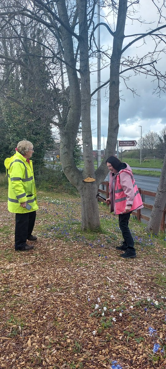 ThePinkLadies12's tweet photo. Val's Patch.  He would be chuffed. https://t.co/D7bDk1LlnU