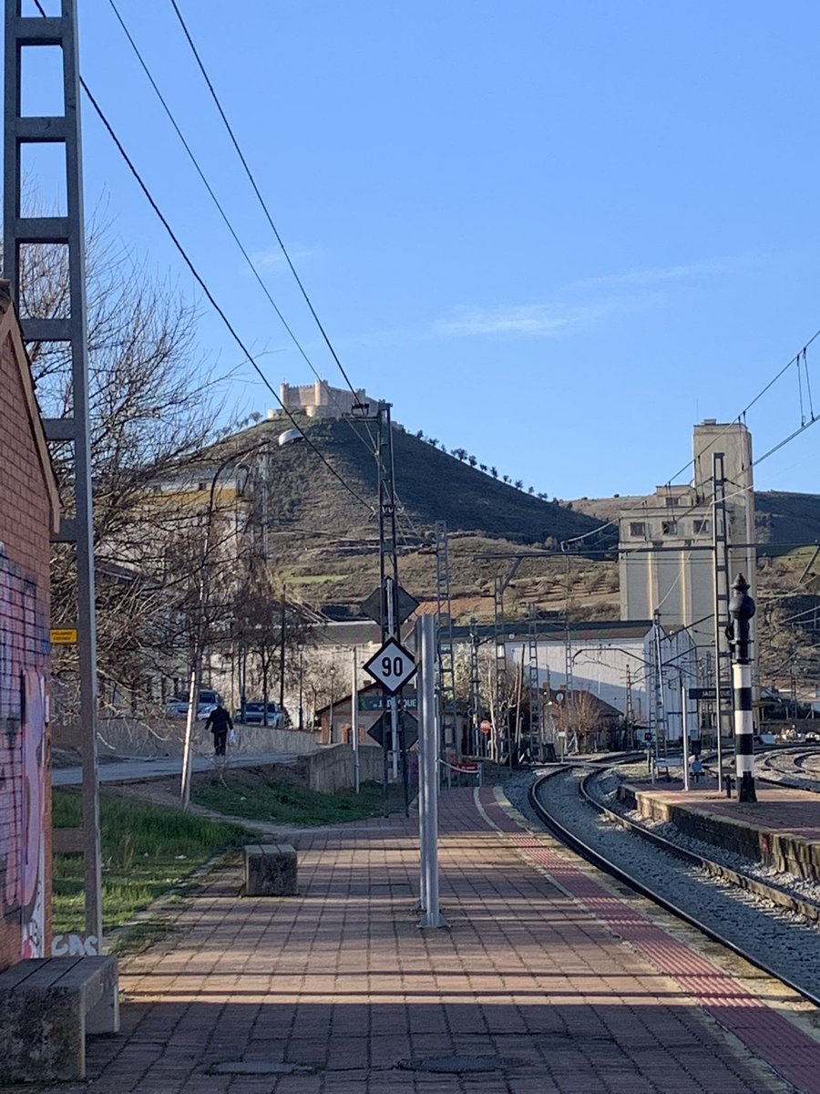 jopra_'s tweet photo. Gran mañana de #bici #mtb ruta #desdeeltren #alcaladehenares #jadraque #guadalajara #caminosdelcid #florecelacolza #ciervos #corzos #naturaleza #primavera #canaldelhenares #mataos https://t.co/3HwV5zlMZW