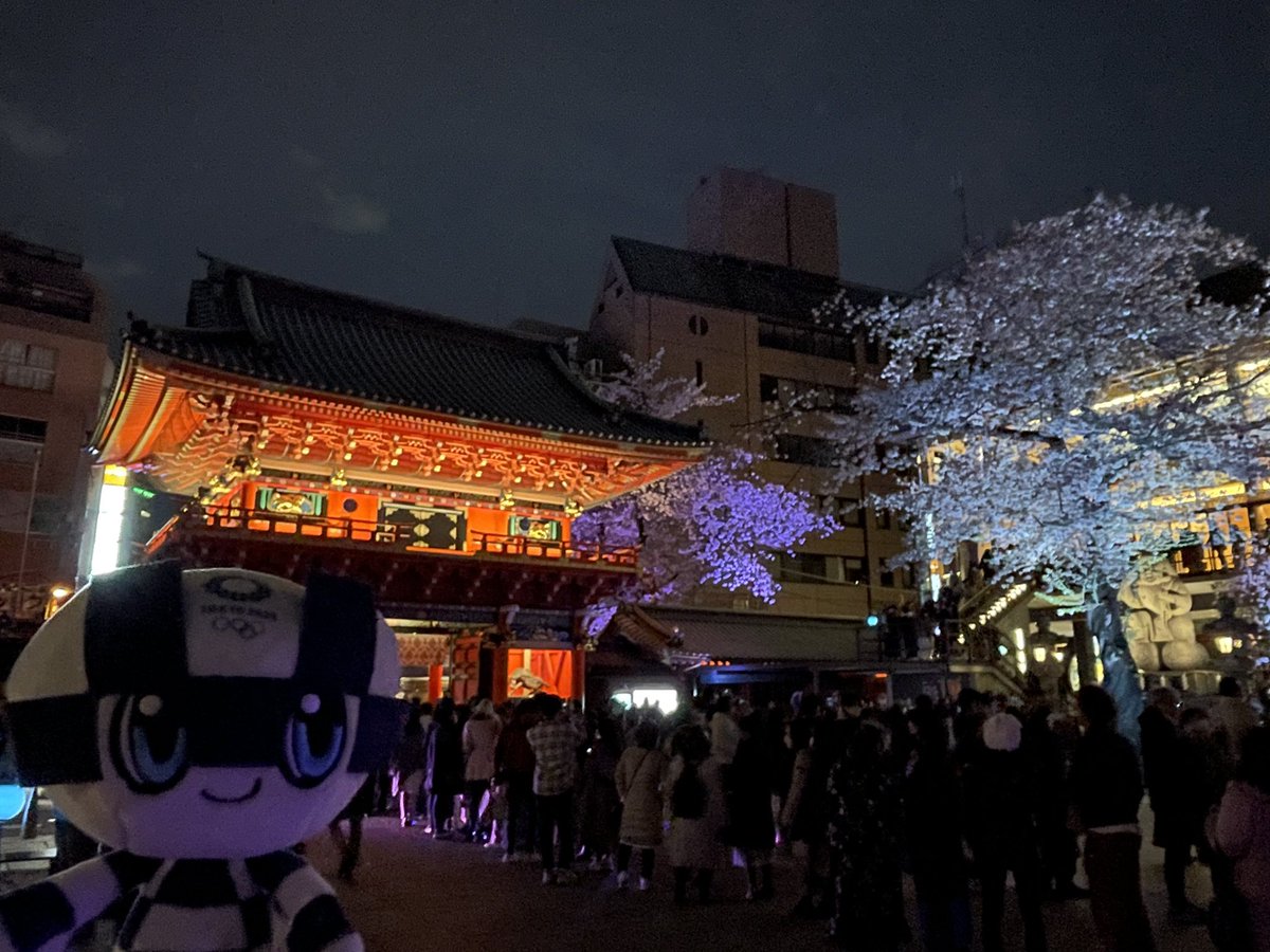 spacio0119's tweet photo. 夜桜鑑賞だよミライトワ💙🌸
#ミライトワ 
#ミライトワ💙 
#ミラソメ存続希望 
#長草くん 
#buddingpop 
#神田明神 
#夜桜 
#夜桜ライトアップ https://t.co/uaNaxrsQZo