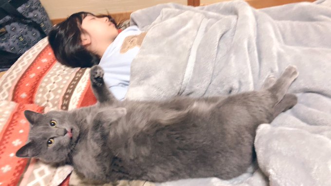 Twitterのコスプレ画像46