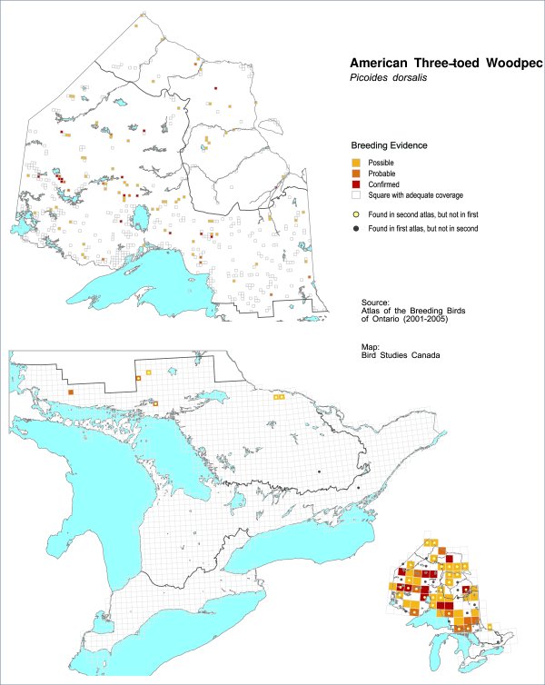 sianeford's tweet photo. @RyanFMandelbaum I'll check Ontario near Kingston for you if I get the chance https://t.co/QPjx8wnbAN