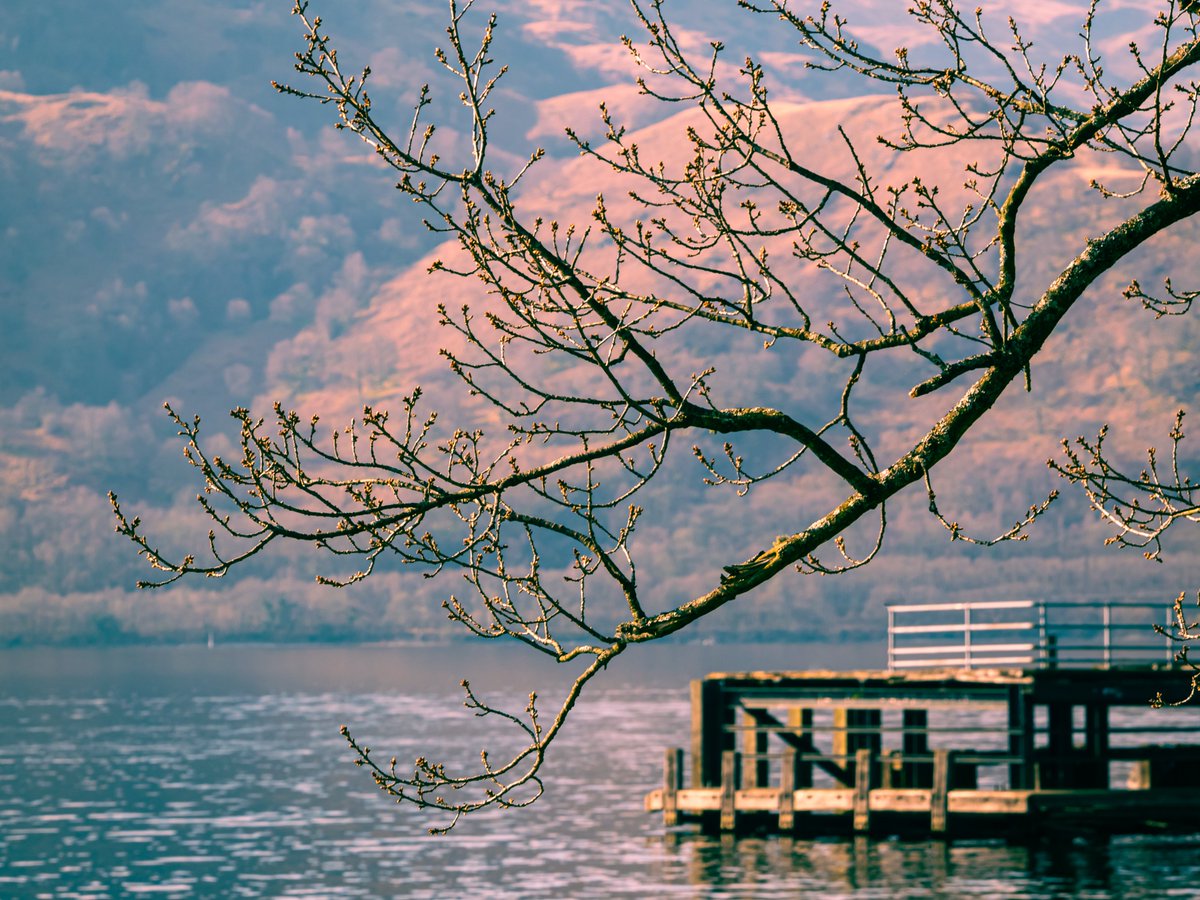 johnsomerville_'s tweet photo. A place to relax and capture the emotion.
Loch Lomond is a great place to visit whether you want to relax or jet ski up and down the Loch.
#CaptureTheEmotion #StormHour #ThePhotoHour #photograph https://t.co/AZ2AB8baHm