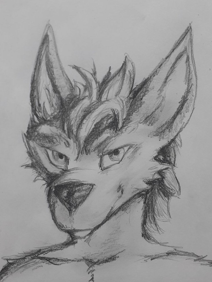 Arcan3SFW's tweet photo. I tried myself at #traditionalart again...
and yeah, I'm a little out of practice haha^^

#furryart https://t.co/V9ui4OGSpB