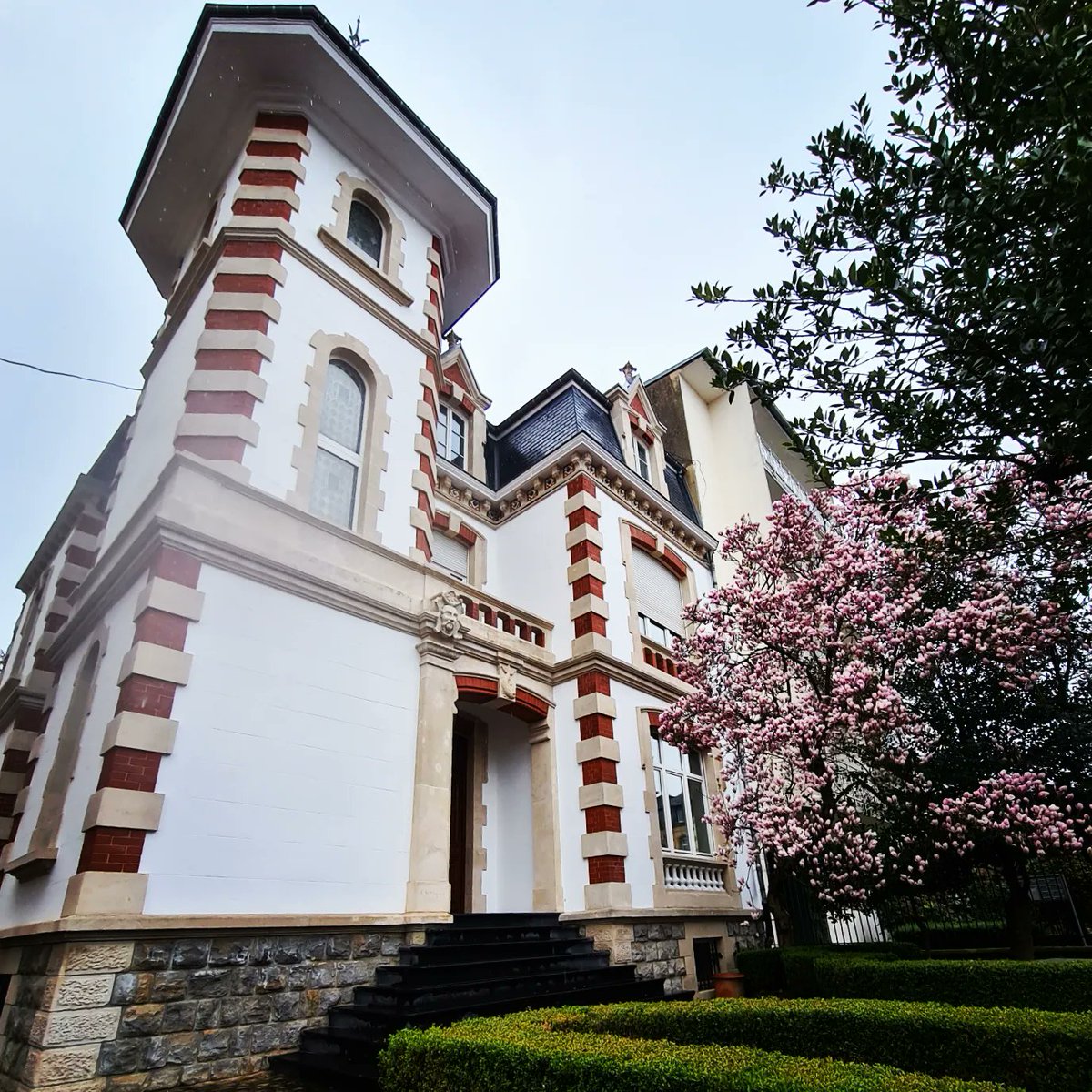LaszloCzero's tweet photo. Only in Luxembourg: office in a castle-shaped building in a street named after Grand Duchess Charlotte, with a beautiful blooming magnolia tree in the front ✨ https://t.co/k6UYzGfdMV