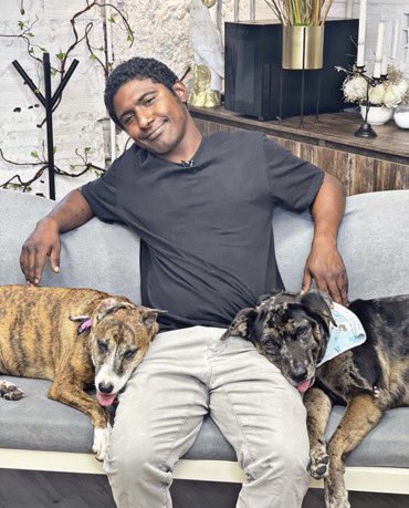 LMPositif's tweet photo. 🐶 Vous souvenez-vous de la vidéo de ce sans-abri qui fête l'anniversaire de ses chiens dans la rue ?

La vidéo a fait le tour du monde et des milliers de personnes ont voulu l'aider !

Aujourd'hui, Jose et ses chiens ont une maison ! ❤️ https://t.co/LutYGoptd5