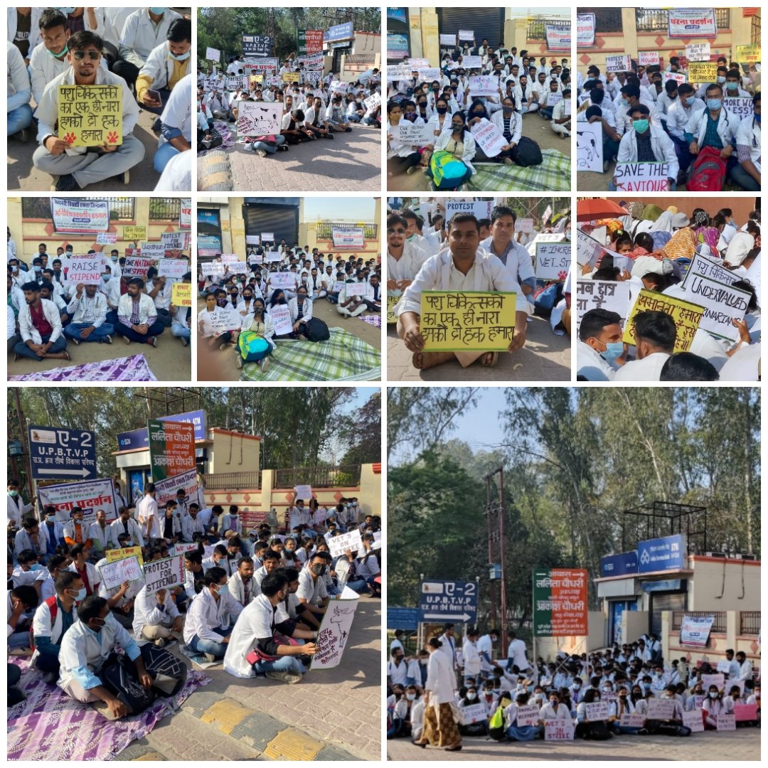 Internship Stipend Increment Strike 
Day -- 1
कल एक था आज हजारों हैं!
किस-किस को रोकोगे?
सबकी जुबां पर यही नारे हैं। #Increase_Vet_Stipend
#Duvasu_Vet_Stipend 
<a href="/vandematrm1008/">💯%FB @myogiadityanath @PMOIndia जी हिंदुओ की जान</a> <a href="/MrityunjayUP/">Mrityunjay Kumar</a> <a href="/SURYA_NBT/">surya p shukla</a> <a href="/TanseemHaider/">Tanseem Haider तनसीम हैदर</a> <a href="/shalabhmani/">Dr. Shalabh Mani Tripathi</a> <a href="/icarindia/">Indian Council of Agricultural Research.</a> <a href="/brajeshpathakup/">Brajesh Pathak</a> <a href="/presidentVCI/">Dr. Umesh C Sharma</a>