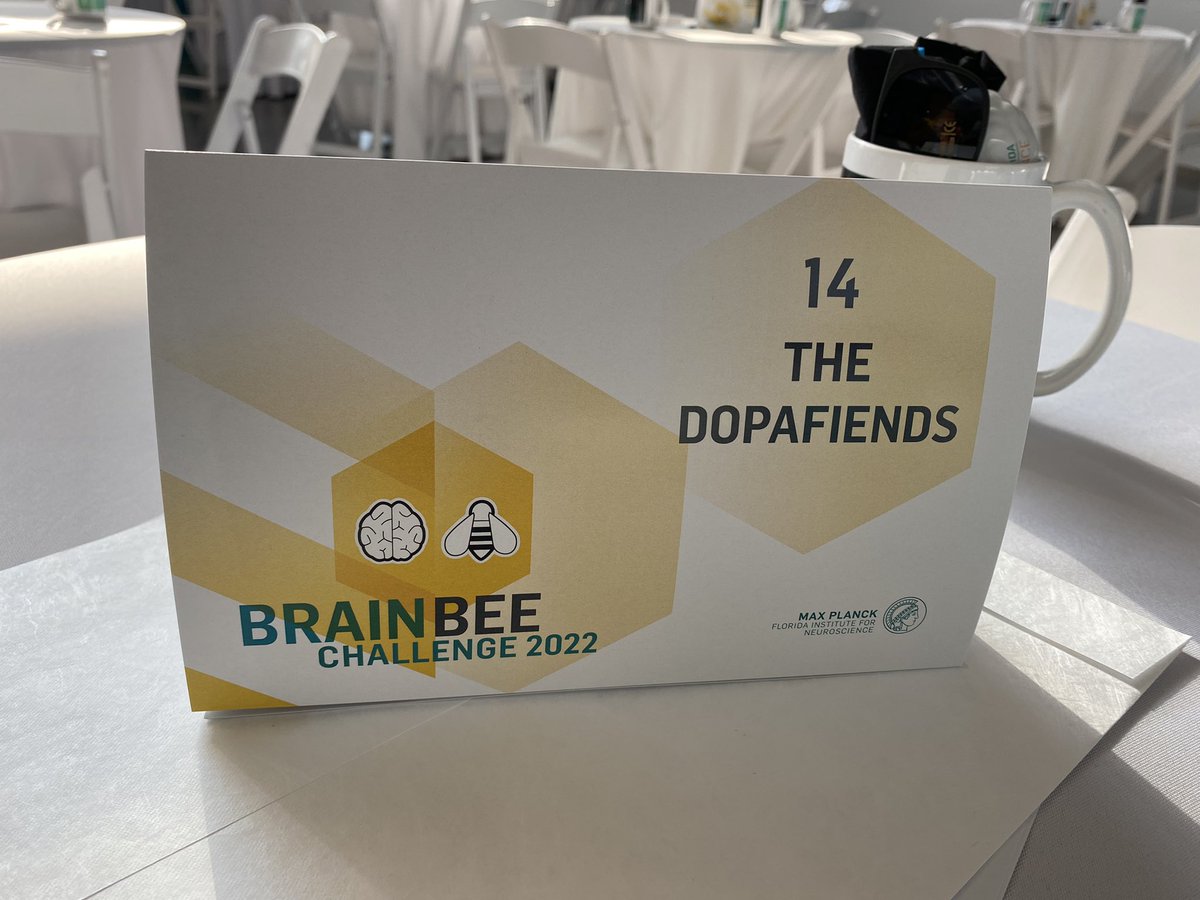 MPFNeuro's tweet photo. Some of our favorite #MPFIBrainBee22 team names 😁 https://t.co/4dvCEgwWzh