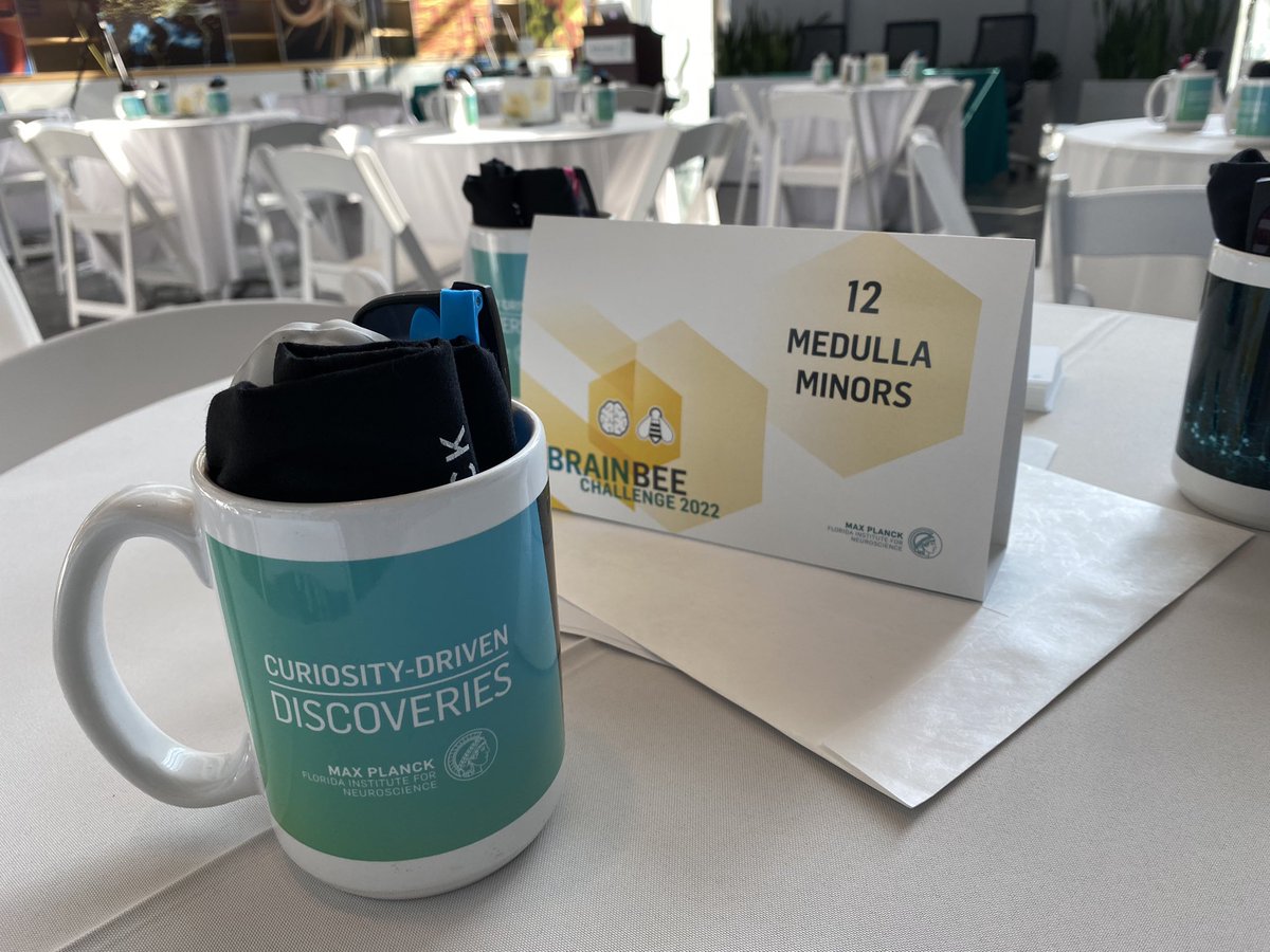 MPFNeuro's tweet photo. Some of our favorite #MPFIBrainBee22 team names 😁 https://t.co/4dvCEgwWzh