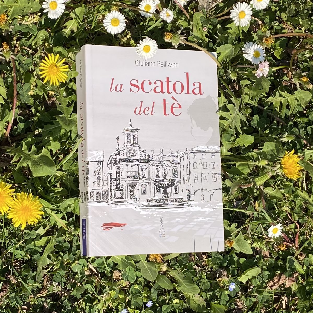 #libro #lascatoladeltè #corvinoedizioni #Amazon