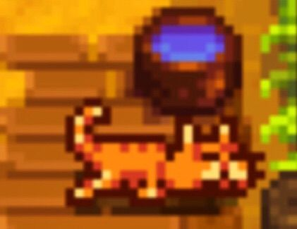 AnimalsPixel tweet picture