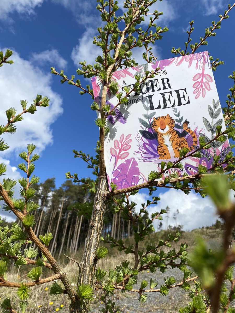 SineadMurphy7x's tweet photo. Seeing it’s #InternationalChildrensBookDay do remember to check out the fabulous #atigernamedlee Lee’s a great wee fella, and the kids love him! https://t.co/VeofTXi3TG or @TinyTreeBooks @easons https://t.co/YFoQFrXomc