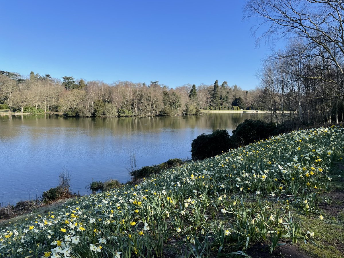 Victoria McGregor-Riley tweet media