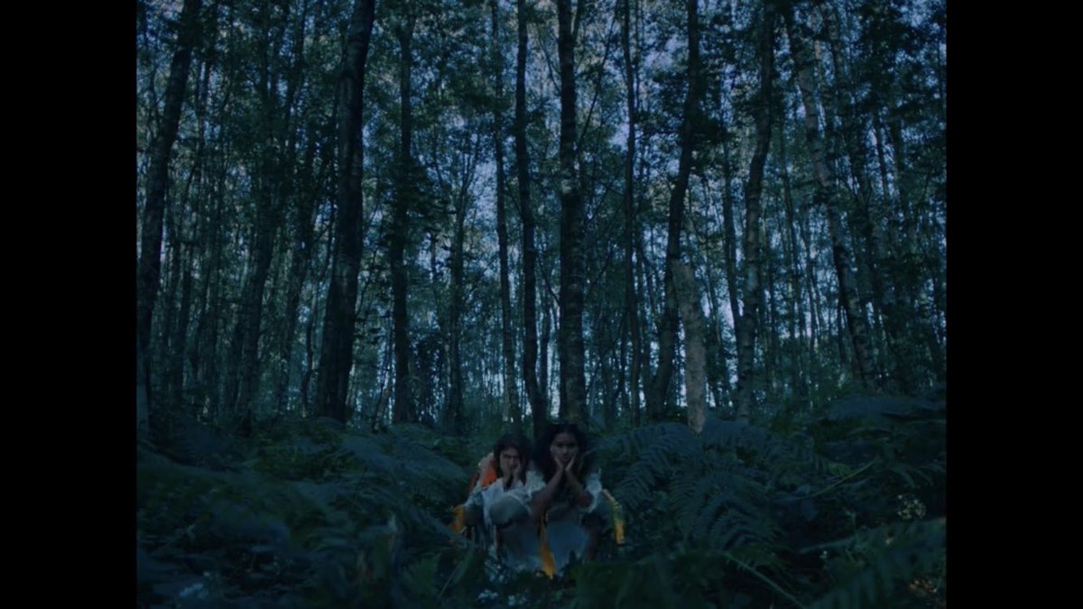 Luke Wintour tweet media