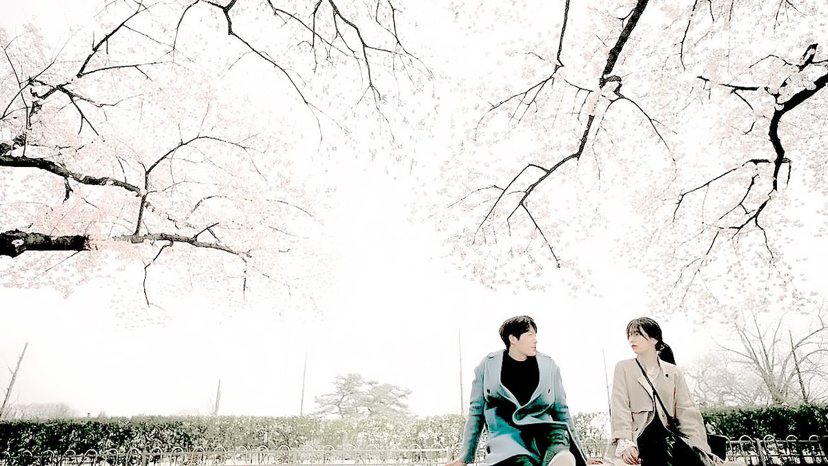 노을 (@fromeul) on Twitter photo 