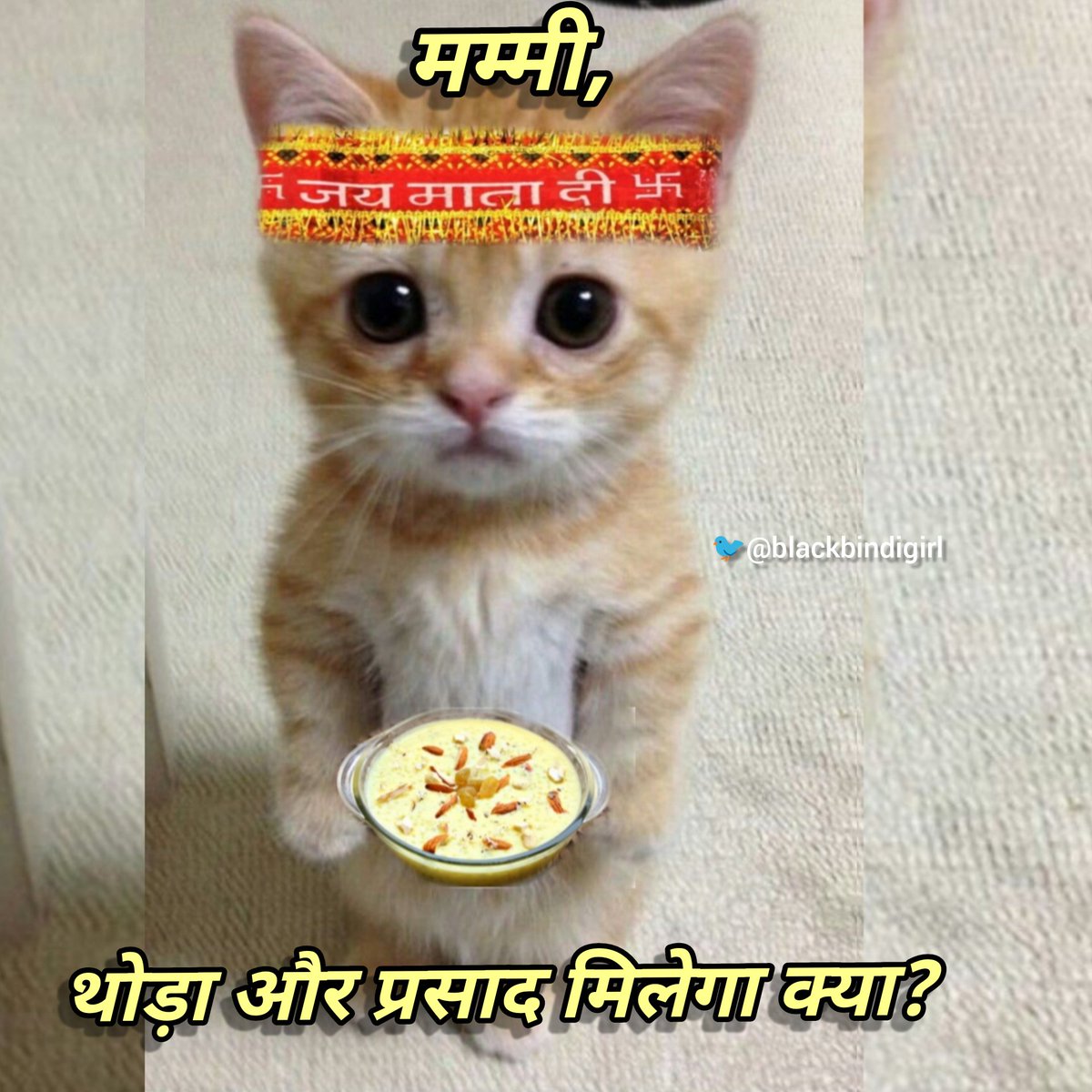 blackbindigirl's tweet photo. सभी को नवरात्रि और नव वर्ष की शुभकामनाएं।
जय माता दी 🧡🚩 https://t.co/uI7xwTuNl8