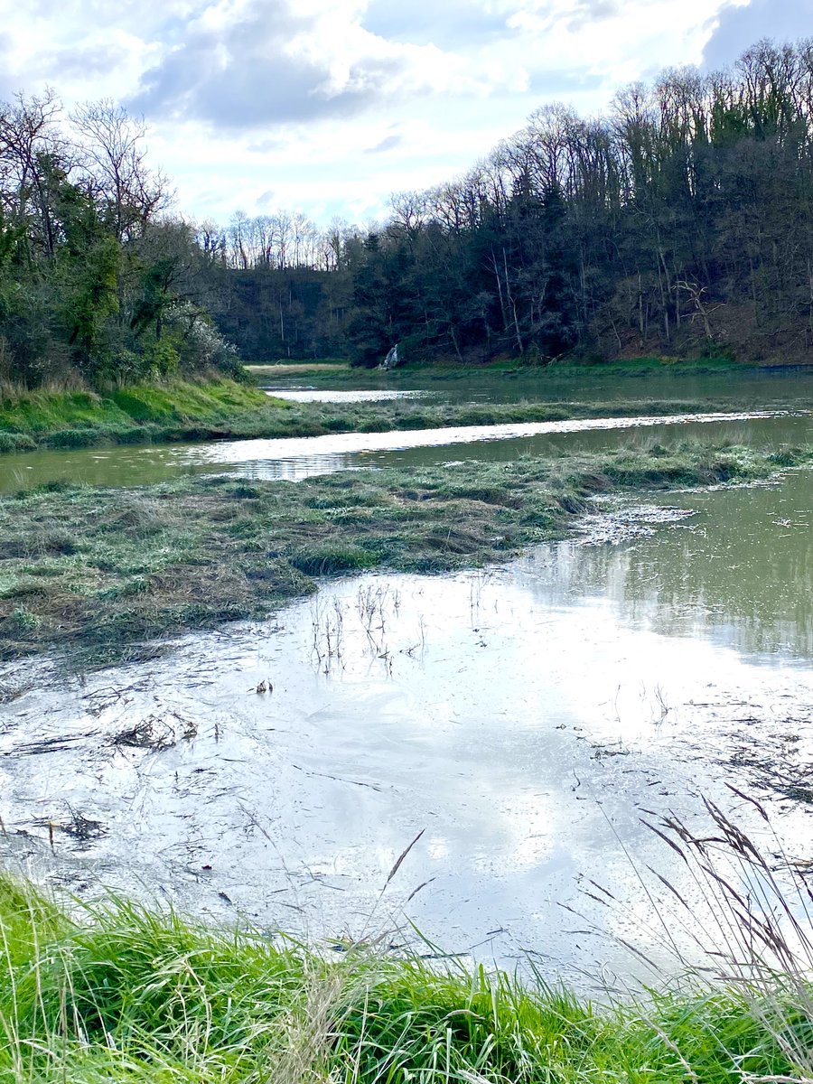 Dominiquepucini's tweet photo. Le moulin de Bellenray, dans un site exceptionnel niché dans une vallée verdoyante où la rivière du Guébriand dessine ses derniers méandres avant de rejoindre l'Arguenon et la mer.  #Crehen #Bretagne Ce matin https://t.co/BEb32urpfX