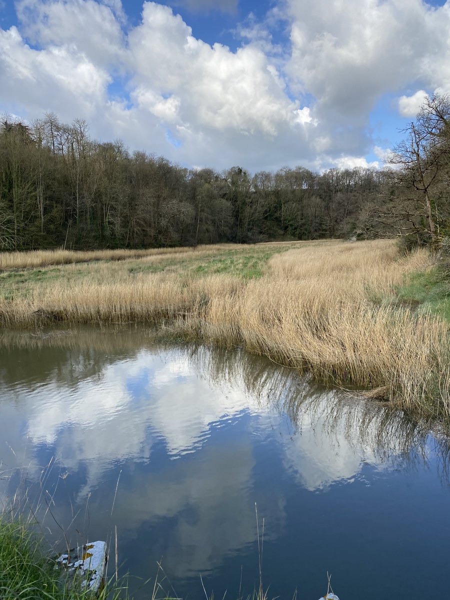Dominiquepucini's tweet photo. Le moulin de Bellenray, dans un site exceptionnel niché dans une vallée verdoyante où la rivière du Guébriand dessine ses derniers méandres avant de rejoindre l'Arguenon et la mer.  #Crehen #Bretagne Ce matin https://t.co/BEb32urpfX
