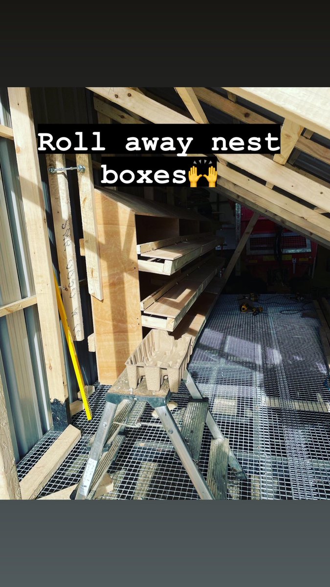 Dunnesfarmeggs's tweet photo. Mesh floor to allow droppings out to fertilise the ground underneath๐ #mobilechickencoop #eggmobile #regenerativeagriculture #conservationagriculture #pastureeggs #eggs #rollawaynestingboxes #doorautomation #pasturerangeeggs #eatlocal #maynooth #maynoothfarmer #kilcloon https://t.co/aYAa6Sya4c